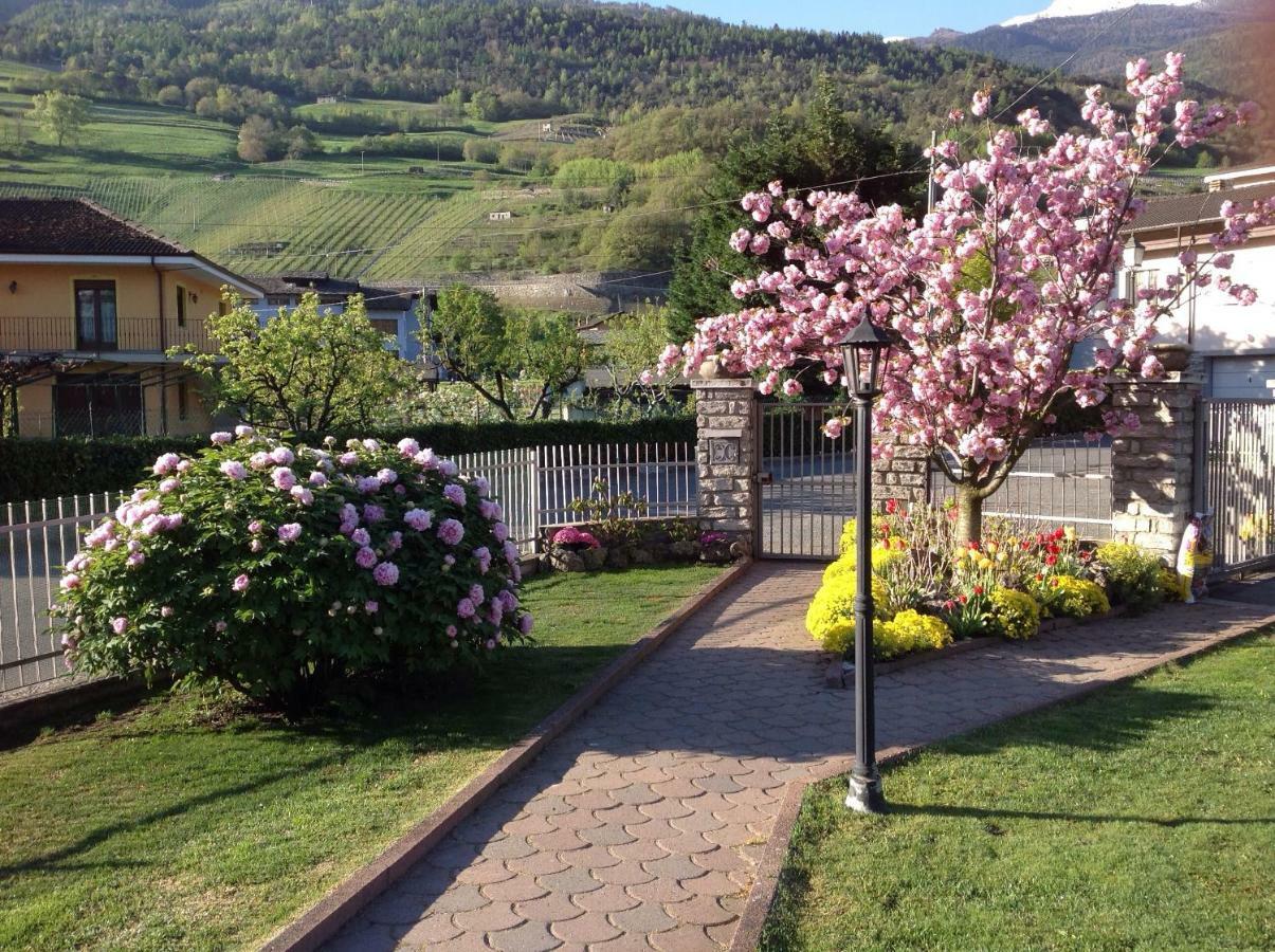 Apartament Casa Di Tia Aosta Zewnętrze zdjęcie